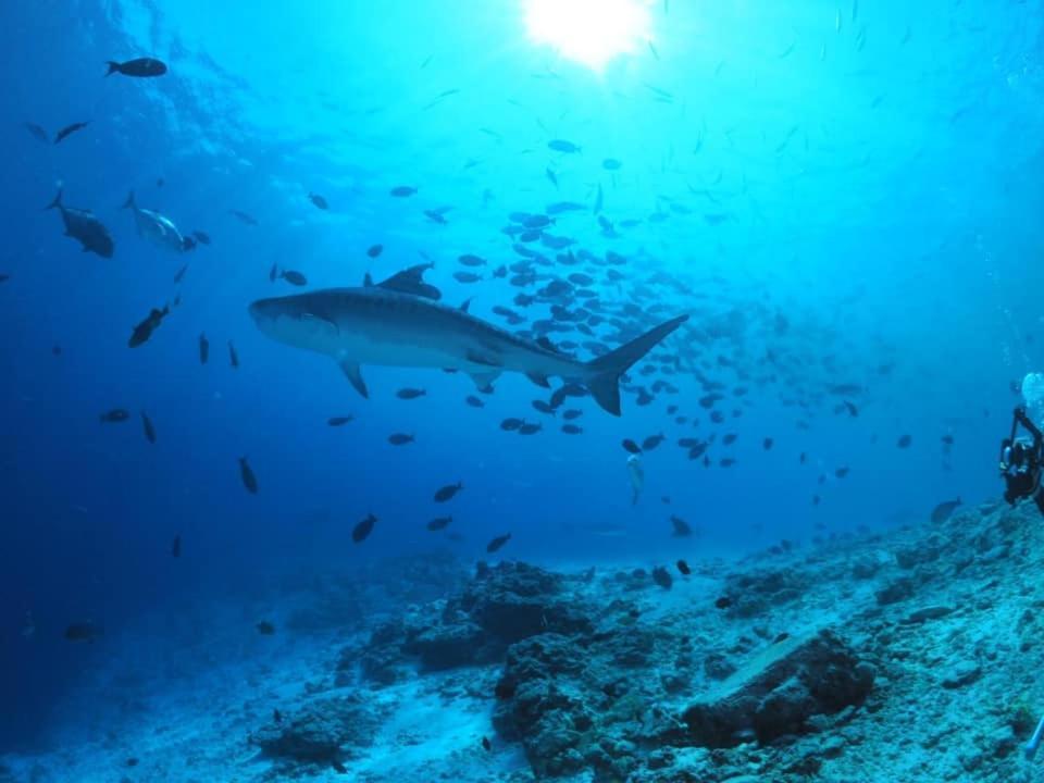 Endhaa, Divers Home Fuvahmulah Bagian luar foto